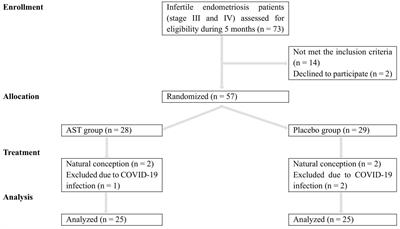 Astaxanthin ameliorates inflammation, oxidative stress, and reproductive outcomes in endometriosis patients undergoing assisted reproduction: A randomized, triple-blind placebo-controlled clinical trial